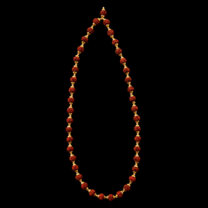 Divine Rudra Chain