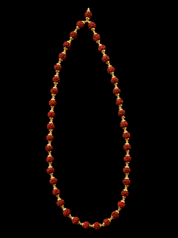 Divine Rudra Chain