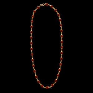 Rudra shakti chain
