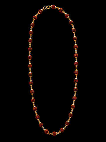 Rudra shakti chain