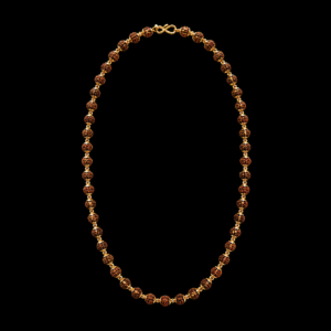 Eternal Rudra chain