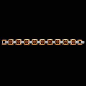 Rudra shakti Bracelet